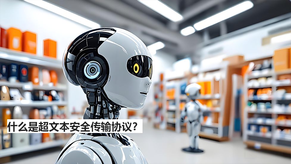 什么是超文本安全传输协议？