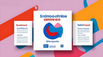 跨境电商独立站